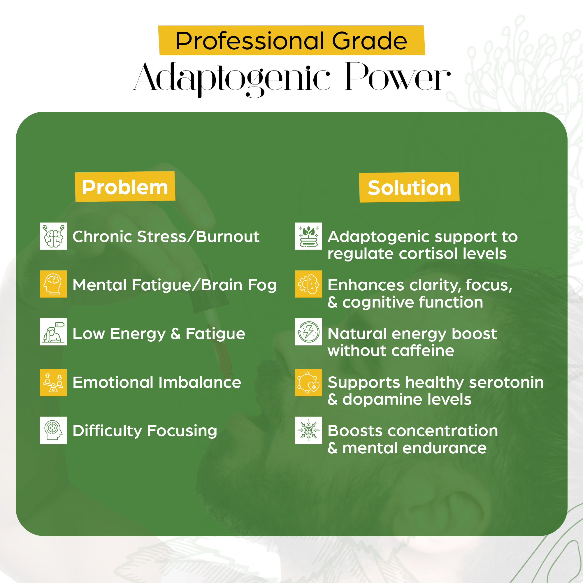 Rhodiola Rosea Tincture – Natural Stress & Energy Support (2 oz)